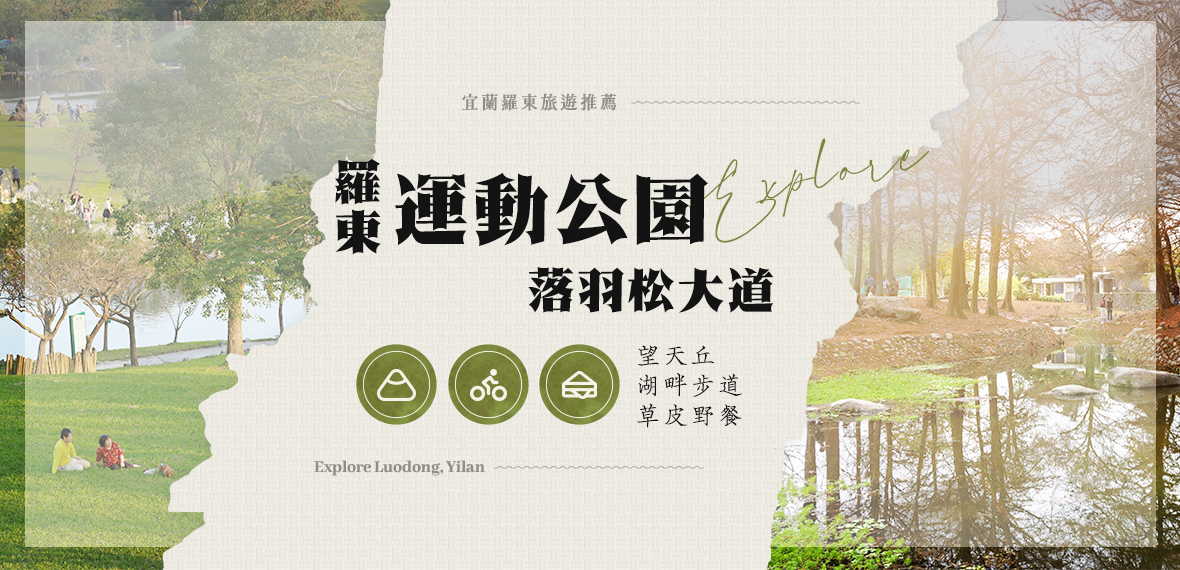羅東運動公園落羽松